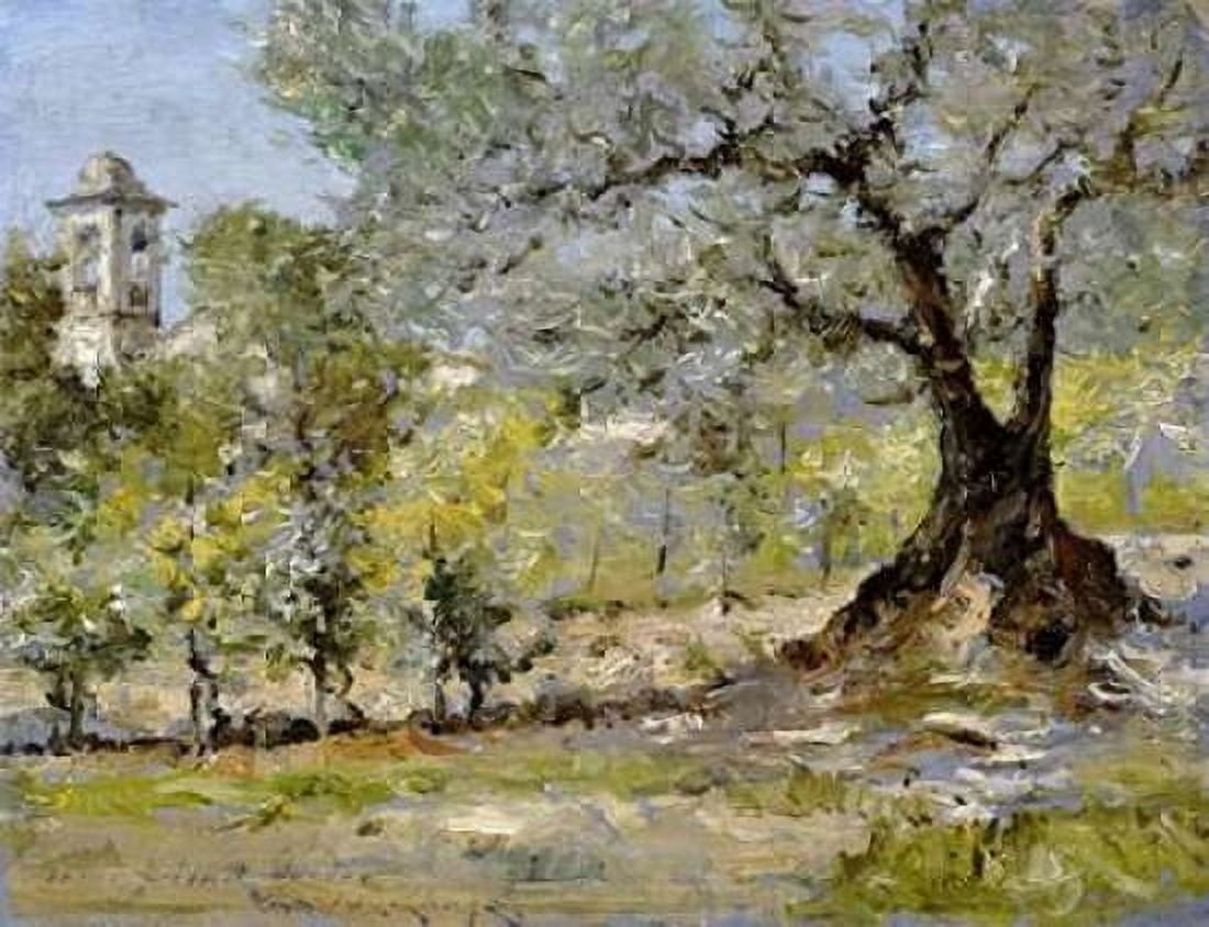 Olive Trees In Florence Canvas Art - William Merritt Chase (18 x 24)