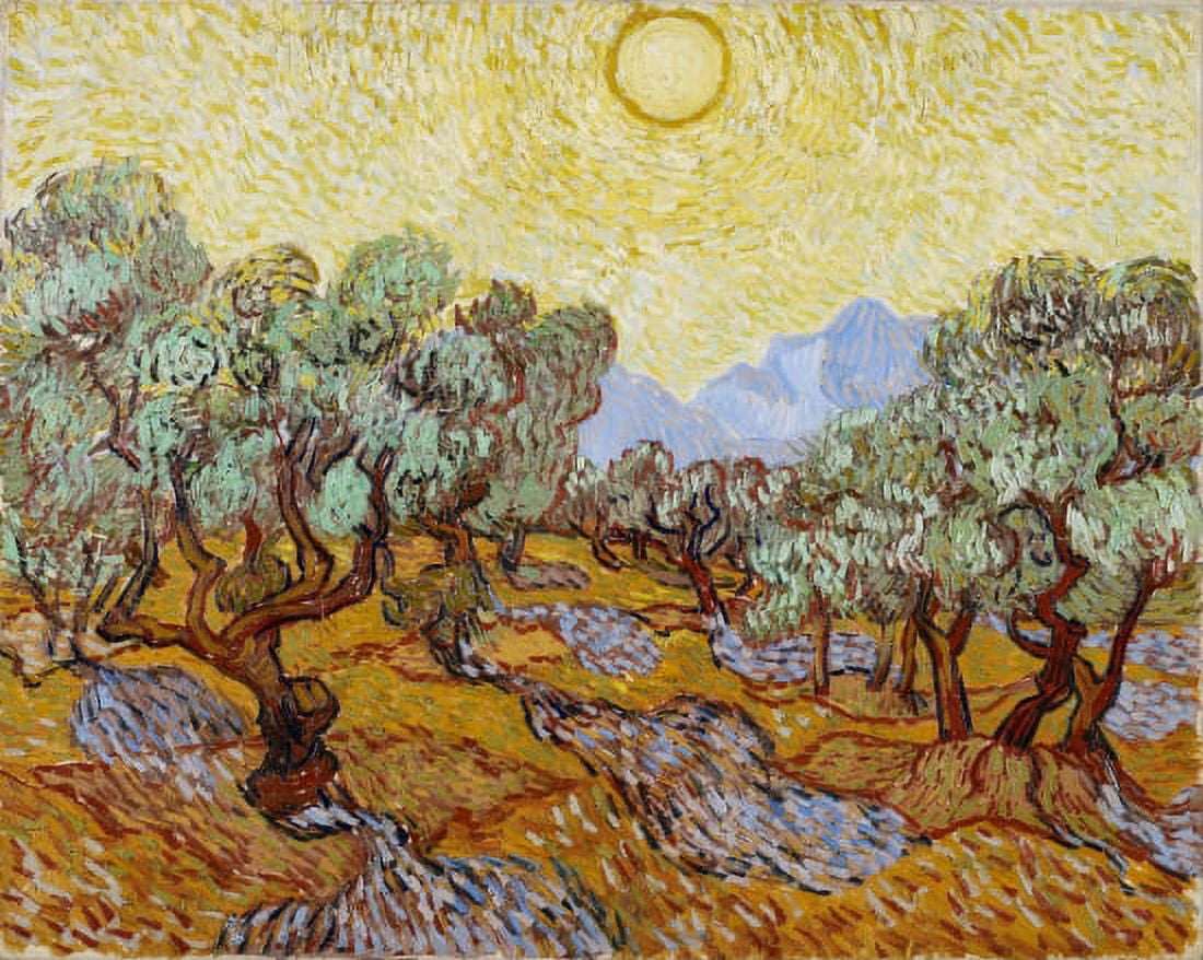 Olive Trees Minneapolis Institute Of Arts Canvas Art - Vincent Van Gogh (24 x 36)
