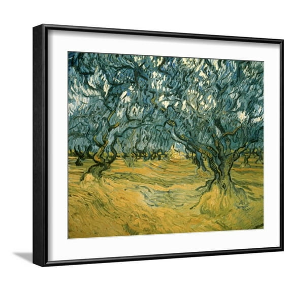 Olive Trees, Scenic Framed Art Print Wall Art by Vincent van Gogh Sold by Art.Com