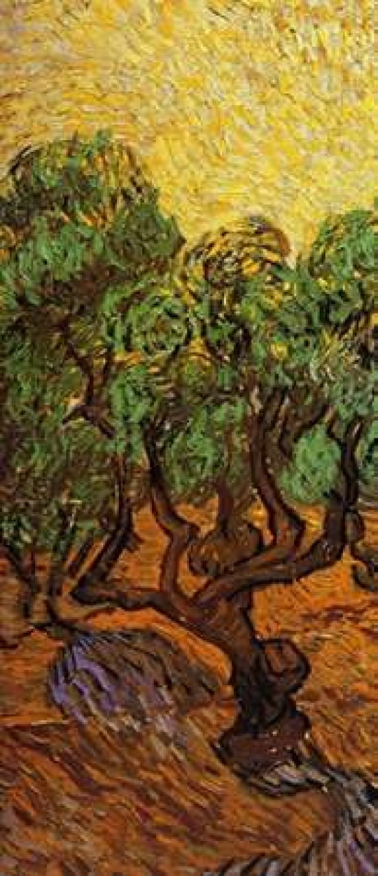 Olive Trees With Yellow Sky And Sun - left Canvas Art - Vincent Van Gogh (24 x 48)