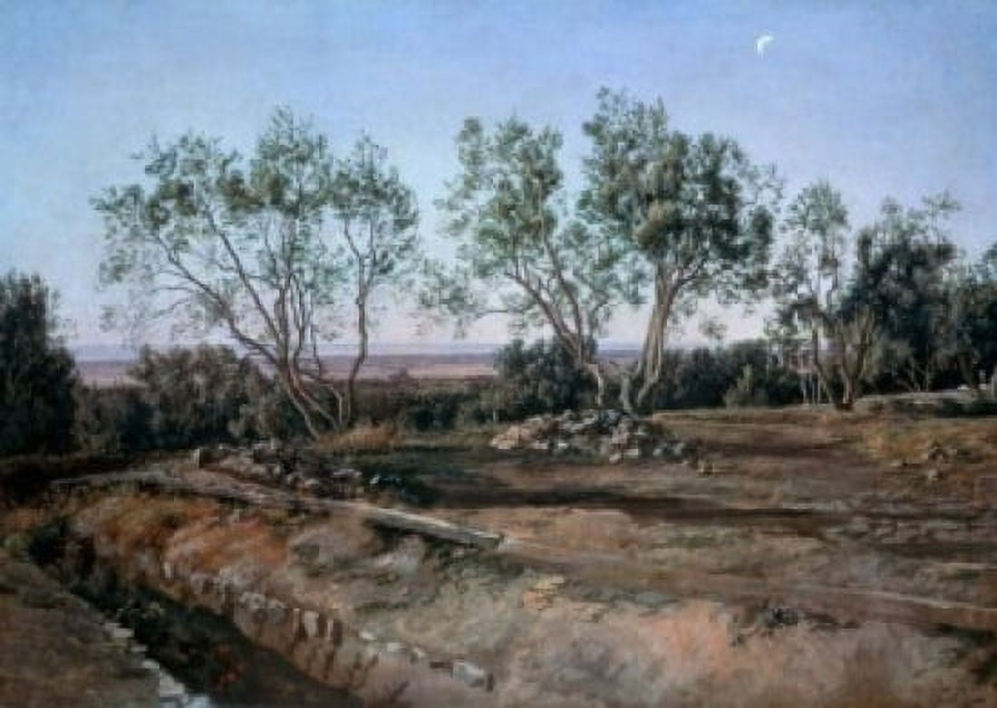 Olive Trees at Albano Aleksandr Andreevic Ivanov 1806-1858 Russian Tretiakov Gallery Moscow Russia Canvas Art - Aleksandr Andreevic Ivanov (24 x 36)