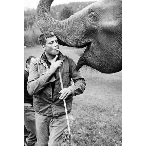 Oliver Reed 24x36 Poster Hannibal Brooks with elephant