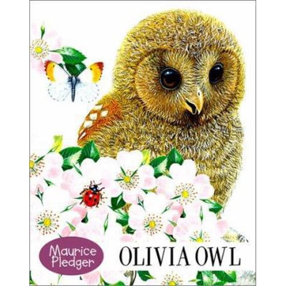 Pre-Owned Olivia Owl Board Book (Unknown) 1571455973 9781571455970