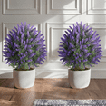 thumbnail image 1 of OLIVIVI Artificial Lavender Plant  2FT Tall Faux Silk Tree for Home Office Decor Indoor Outdoor Fake Lifelike Potted Tree with Wood Branches 2 pack, 1 of 14