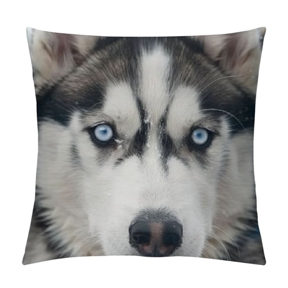 Ollo0ord Dog Throw Pillow Covers Decorative Throw Pillow Case Modern Cushion Cover Square Pillowcase for Sofa Couch Bedroom Living Room Car White