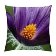 thumbnail image 1 of Ollo0ord Throw Pillow Cover  Plant Nature Live 12x12in, 1 of 5