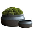 thumbnail image 1 of Olly & Rose Gray Round Gray Ceramic Cement Planters (2 Count), 1 of 1
