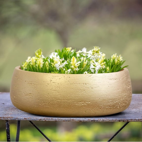 Olly & Rose Large Ceramic Planter Bowl Shallow Plant Pot - Gold Flower Pot Indoor and Outdoor Decorative Bowl Garden and Home Dcor