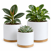 Olly & Rose Matt White Set 3 Ceramic Plant Pots with Bamboo Coasters Indoor Planters with Saucers