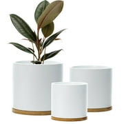 Olly & Rose Matt White Set 3 Ceramic Plant Pots with Bamboo Coasters Indoor Planters White with Saucers