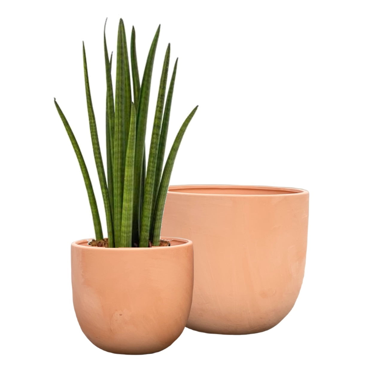 Olly & Rose Terracotta Plant Pots Set Large Ceramic Plant Pots Clay Indoor  Planters 
