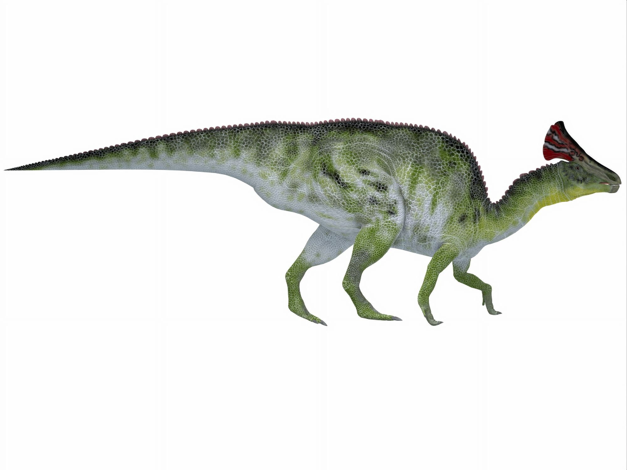 Olorotitan a duckbilled dinosaur from the Cretaceous Period Canvas Art - Corey FordStocktrek Images (33 x 25)