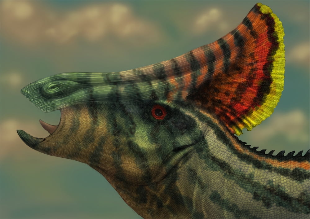 Olorotitan dinosaur portrait Canvas Art - Alvaro RozalenStocktrek Images (17 x 12)