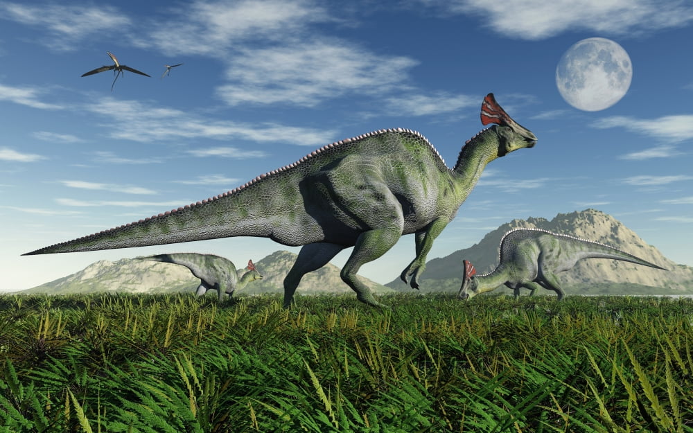 Olorotitan duckbill dinosaurs grazing Canvas Art - Mark StevensonStocktrek Images (36 x 23)