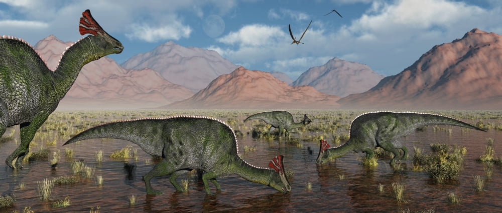 Olorotitan duckbilled dinosaurs grazing Canvas Art - Mark StevensonStocktrek Images (22 x 10)