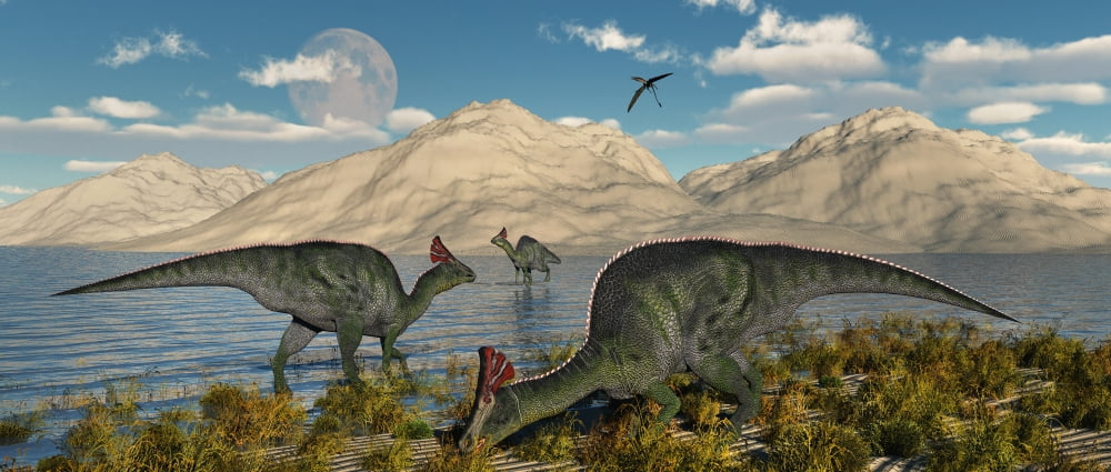 Olorotitan duckbilled dinosaurs grazing Canvas Art - Mark StevensonStocktrek Images (22 x 10)
