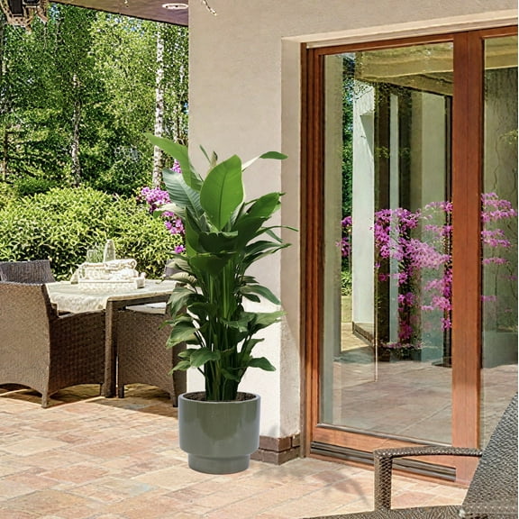 Olurrisa 3 Pieces Ceramic Flowerpot, Modern Planter for Patio, Garden or Windowsills - Antique Light Green