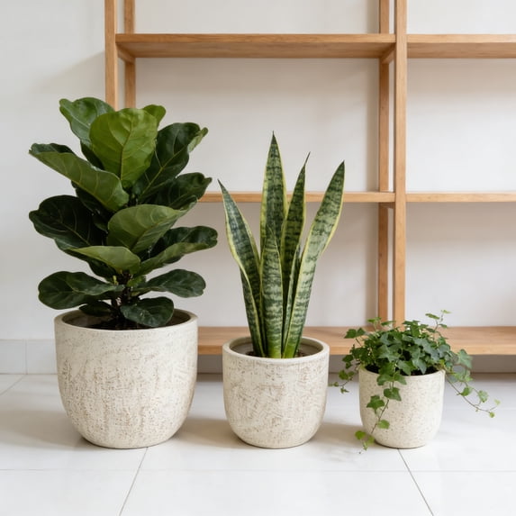 Olurrisa Large Outdoor Indoor Planter, 15.9"+12"+10" Dia Round Magnesium Oxide Planter Set of 3, Flower Pots with Drainage Holes, Modern Design Planter for Home Garden Patio