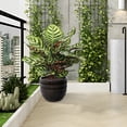 thumbnail image 1 of Olurrisa Set of 4 Fluted Ceramic Flowerpot, Modern Planter for Patio, Garden, Windowsill - Dark Coffee, 1 of 8