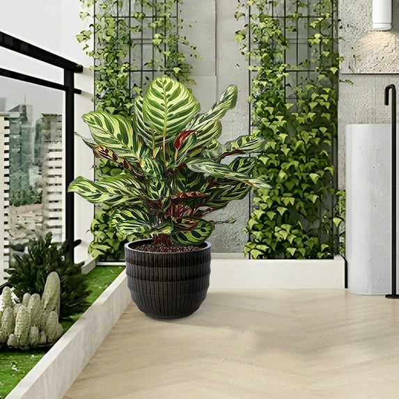 Olurrisa Set of 4 Fluted Ceramic Flowerpot, Modern Planter for Patio, Garden, Windowsill - Dark Coffee