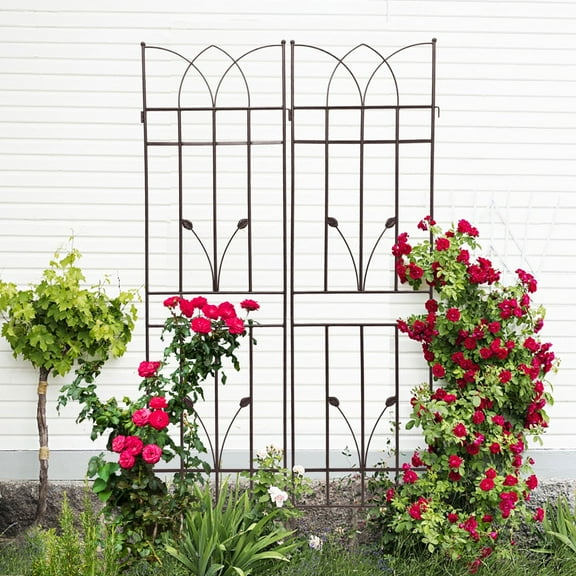 Olurrisa nstant Garden Upgrade: 2 French Style Trellises - Wide 19.7” Sturdy Plant Supports for Morning Glory, Grapevines, Outdoor/Indoor Decor