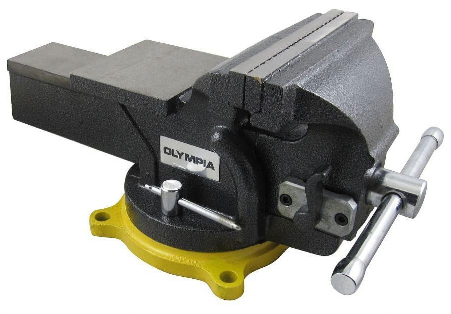 Olympia 2024 5 vise