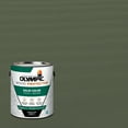thumbnail image 1 of Olympic 1 Gallon SC-1018 Cool Breeze Exterior Solid Wood Protector Stain Plus Sealer in One, 1 of 15
