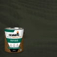 thumbnail image 1 of Olympic 1 Gallon SC-1026 Deep Charcoal Exterior Solid Wood Protector Stain Plus Sealer in One, 1 of 15