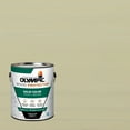 thumbnail image 1 of Olympic 1 Gallon SC-1057 Outside White Exterior Solid Wood Protector Stain Plus Sealer in One, 1 of 15
