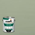 thumbnail image 1 of Olympic 1 Gallon SC-1076 Silver Lining Exterior Solid Wood Protector Stain Plus Sealer in One, 1 of 15