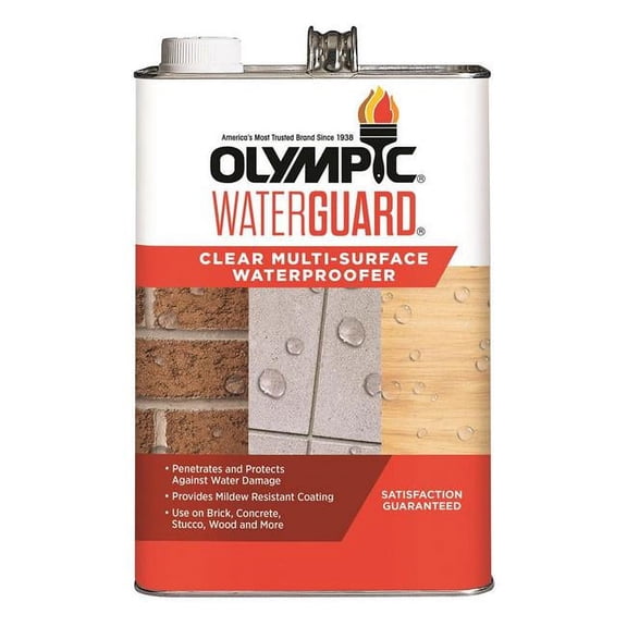 Olympic 1 gal Waterguard Clear Multi Surf Waterproofing Sealant