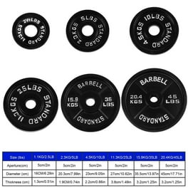 10 lb. Olympic Plate Walmart
