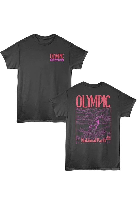 Olympic Hurricane Ridge Purple Men's T-Shirt (Charcoal, AdultL)