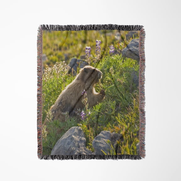 Olympic Marmot Wildlife, Olympic Np, Wa - Us48 Rsc0392 - Roddy Scheer, Woven Blanket