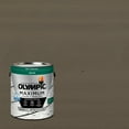 thumbnail image 1 of Olympic Maximum 1 Gallon SC-1003 Antique Silver Solid Color Exterior Stain and Sealer in One, 1 of 14