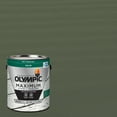 thumbnail image 1 of Olympic Maximum 1 Gallon SC-1018 Cool Breeze Solid Color Exterior Stain and Sealer in One, 1 of 14