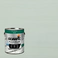 thumbnail image 1 of Olympic Maximum 1 Gallon SC-1019 Cool Dusk Solid Color Exterior Stain and Sealer in One, 1 of 14
