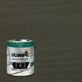 thumbnail image 1 of Olympic Maximum 1 Gallon SC-1021 Corundum Solid Color Exterior Stain and Sealer in One, 1 of 14