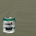 thumbnail image 1 of Olympic Maximum 1 Gallon SC-1060 Phoenix Fossil Solid Color Exterior Stain and Sealer in One, 1 of 14
