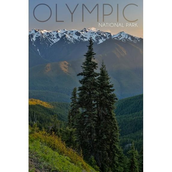 Olympic National Park, Washington, Hurricane Ridge (16x24 Giclee Gallery Art Print, Vivid Textured Wall Decor)