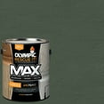 thumbnail image 1 of Olympic Rescue It 1 Gallon SC-1068 Rocky Gray Exterior Deck Resurfacer and Primer with Sealer, 1 of 14