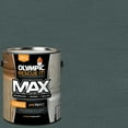 thumbnail image 1 of Olympic Rescue It 1 Gallon SC-1085 Waterhouse Exterior Deck Resurfacer and Primer with Sealer, 1 of 14