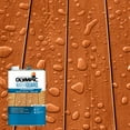 Olympic WaterGuard 1 gal. Acorn Brown Transparent Wood Stain and Sealer