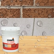 Olympic WaterGuard 5 Gallons Clear Multi-Surface Exterior Waterproofing Sealer