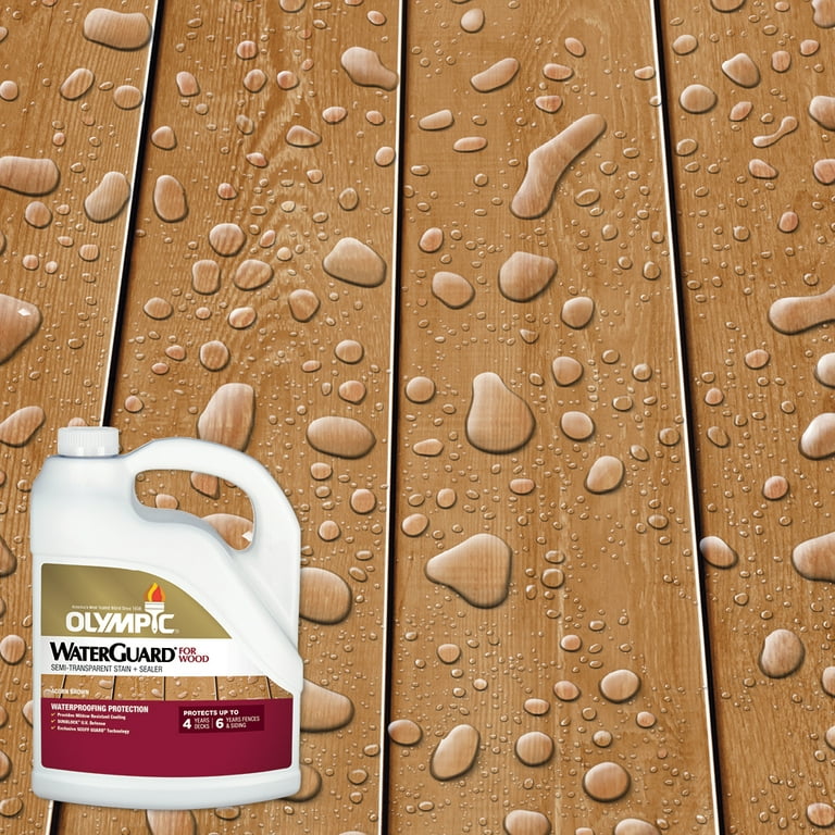 Olympic WaterGuard 1 gal. Clear Multi-Surface Exterior Wood Sealer