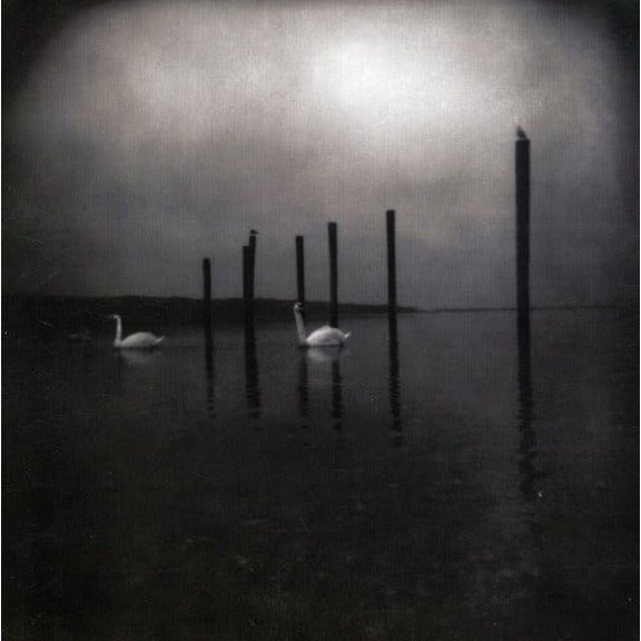 Om - Conference of the Birds - Music & Performance - CD
