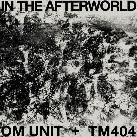 Om Unit / TM404 - In The Afterworld - Music & Performance - Vinyl