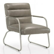 Omax Decor Spencer Stainless Steel/Leather Lounge Accent Chair in Gray