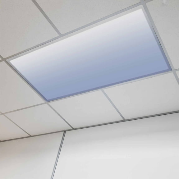 Ombre Grey Blue Fluorescent Light Covers, Abstract Art Magnetic Light Covers for Ceiling Lights, Fluorescent Ceiling Shade Filters for Classroom Bedroom Office 4x2Ft x 1PCS