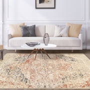 Ombre Medallion Area Rug Collection